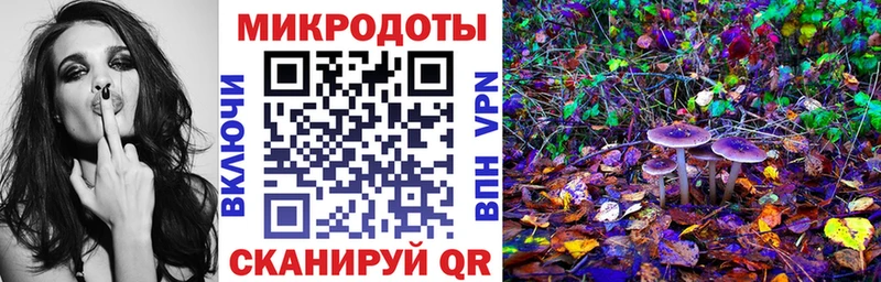 купить наркотики сайты  Солигалич  shop как зайти  Галлюциногенные грибы MAGIC MUSHROOMS 